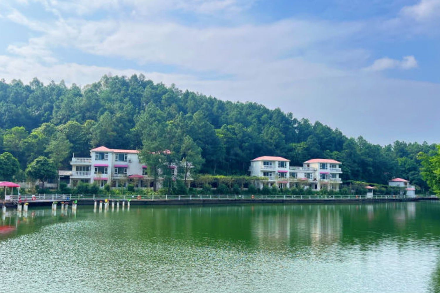清远静⼭湖森林湖畔⺠宿童画营地
